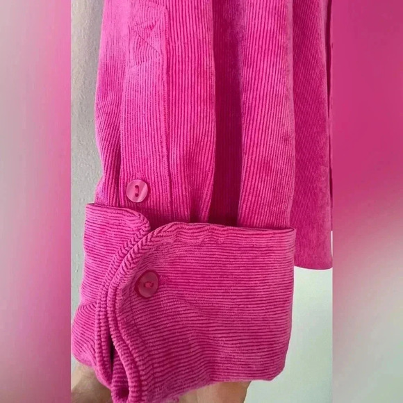 Zara Pink Cordoruy Velvet Blouse. Size L. - Picture 4 of 5